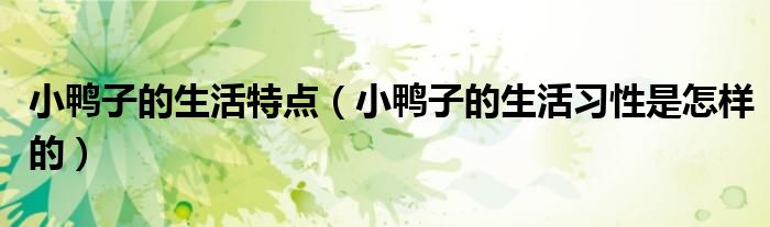 小鴨子的生活特點（小鴨子的生活習性是怎樣的）