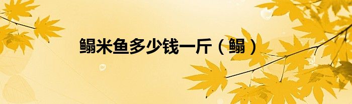 鰨米魚多少錢一斤（鰨）