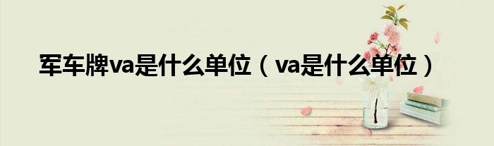 軍車牌va是什么單位（va是什么單位）