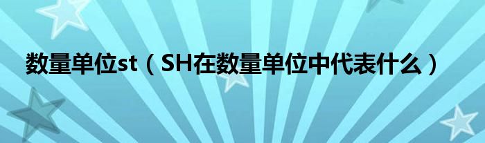 數(shù)量單位st（SH在數(shù)量單位中代表什么）