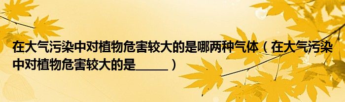 在大氣污染中對(duì)植物危害較大的是哪兩種氣體（在大氣污染中對(duì)植物危害較大的是______）