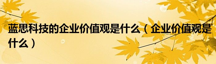 藍思科技的企業(yè)價值觀是什么（企業(yè)價值觀是什么）