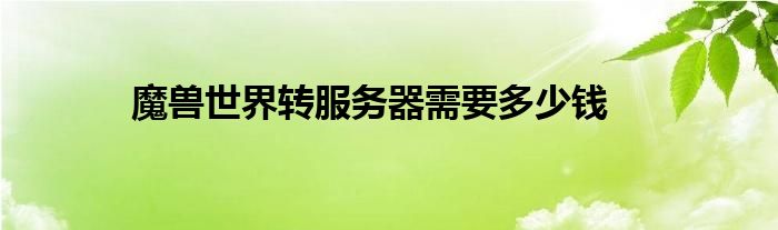 魔獸世界轉(zhuǎn)服務(wù)器需要多少錢