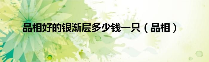 品相好的銀漸層多少錢一只（品相）