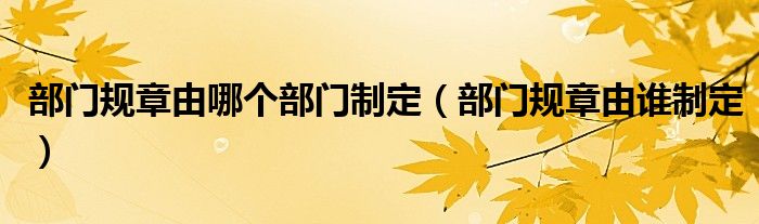 部門規(guī)章由哪個部門制定（部門規(guī)章由誰制定）