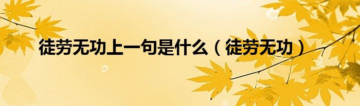 徒勞無(wú)功上一句是什么（徒勞無(wú)功）