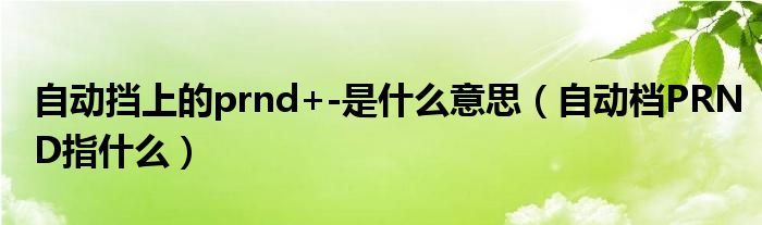 自動擋上的prnd+-是什么意思（自動檔PRND指什么）