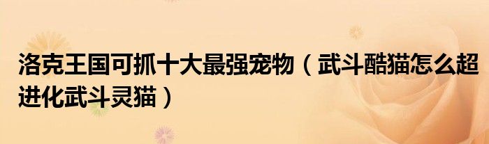 洛克王國可抓十大最強寵物（武斗酷貓怎么超進化武斗靈貓）