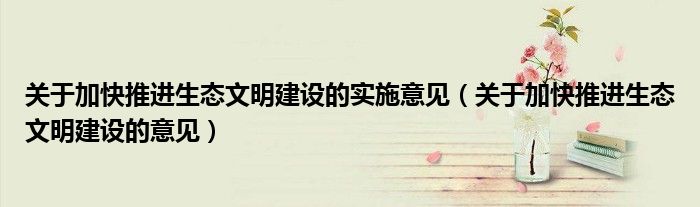 關(guān)于加快推進(jìn)生態(tài)文明建設(shè)的實(shí)施意見（關(guān)于加快推進(jìn)生態(tài)文明建設(shè)的意見）