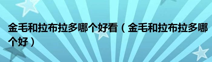 金毛和拉布拉多哪個好看（金毛和拉布拉多哪個好）