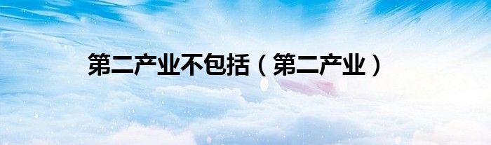 第二產(chǎn)業(yè)不包括（第二產(chǎn)業(yè)）