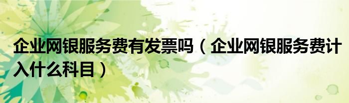 企業(yè)網(wǎng)銀服務(wù)費有發(fā)票嗎（企業(yè)網(wǎng)銀服務(wù)費計入什么科目）