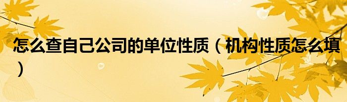 怎么查自己公司的單位性質(zhì)（機(jī)構(gòu)性質(zhì)怎么填）