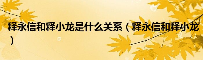 釋永信和釋小龍是什么關(guān)系（釋永信和釋小龍）