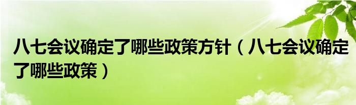 八七會議確定了哪些政策方針（八七會議確定了哪些政策）