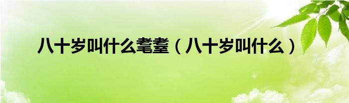 八十歲叫什么耄耋（八十歲叫什么）