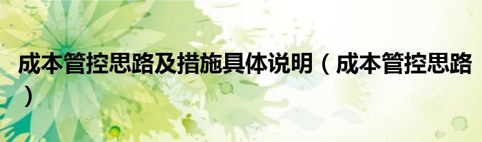 成本管控思路及措施具體說明（成本管控思路）