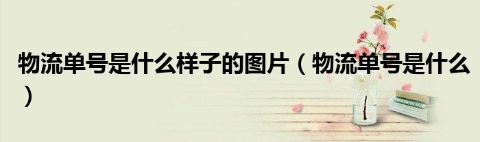 物流單號是什么樣子的圖片（物流單號是什么）