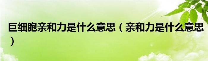 巨細胞親和力是什么意思（親和力是什么意思）