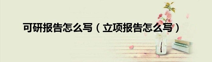 可研報(bào)告怎么寫（立項(xiàng)報(bào)告怎么寫）