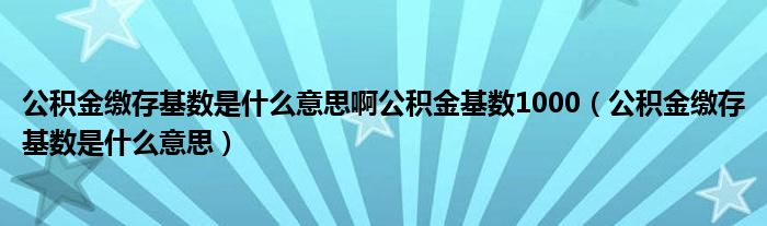 公積金繳存基數(shù)是什么意思啊公積金基數(shù)1000（公積金繳存基數(shù)是什么意思）