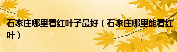石家莊哪里看紅葉子最好（石家莊哪里能看紅葉）