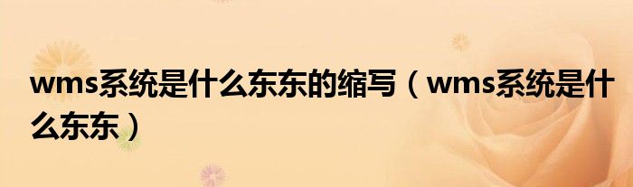 wms系統(tǒng)是什么東東的縮寫(xiě)（wms系統(tǒng)是什么東東）