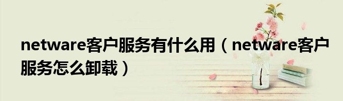 netware客戶服務(wù)有什么用（netware客戶服務(wù)怎么卸載）
