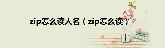 zip怎么讀人名（zip怎么讀）