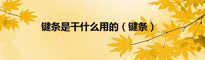 鍵條是干什么用的（鍵條）