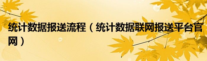 統(tǒng)計(jì)數(shù)據(jù)報(bào)送流程（統(tǒng)計(jì)數(shù)據(jù)聯(lián)網(wǎng)報(bào)送平臺官網(wǎng)）