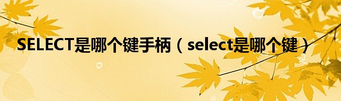 SELECT是哪個(gè)鍵手柄（select是哪個(gè)鍵）