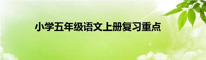 小學(xué)五年級(jí)語(yǔ)文上冊(cè)復(fù)習(xí)重點(diǎn)