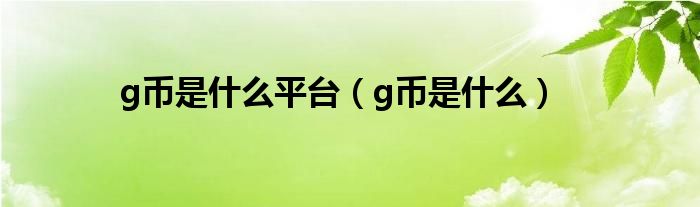 g幣是什么平臺(tái)（g幣是什么）