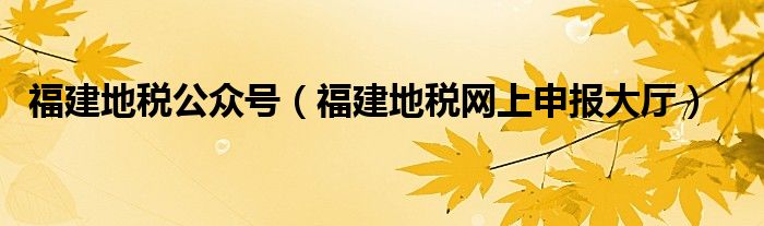 福建地稅公眾號（福建地稅網(wǎng)上申報大廳）