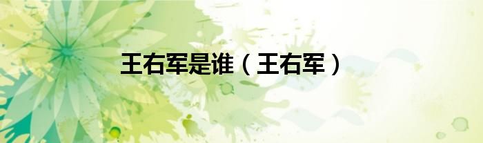 王右軍是誰（王右軍）