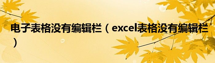 電子表格沒有編輯欄（excel表格沒有編輯欄）