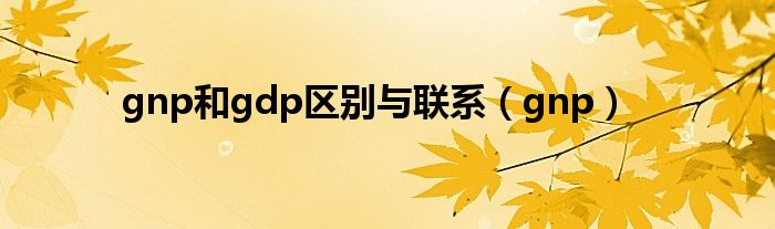 gnp和gdp區(qū)別與聯(lián)系（gnp）