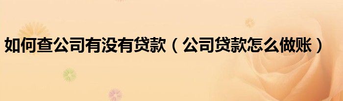 如何查公司有沒有貸款（公司貸款怎么做賬）