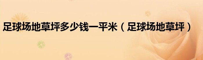 足球場地草坪多少錢一平米（足球場地草坪）