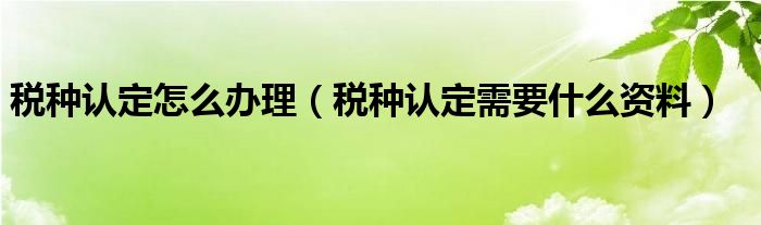稅種認定怎么辦理（稅種認定需要什么資料）