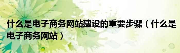 什么是電子商務(wù)網(wǎng)站建設(shè)的重要步驟（什么是電子商務(wù)網(wǎng)站）