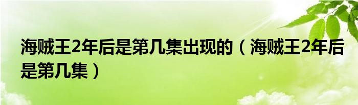 海賊王2年后是第幾集出現(xiàn)的（海賊王2年后是第幾集）