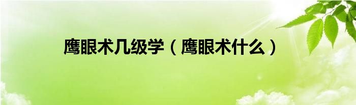 鷹眼術(shù)幾級(jí)學(xué)（鷹眼術(shù)什么）