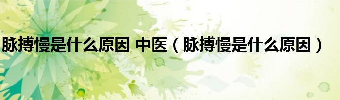 脈搏慢是什么原因 中醫(yī)（脈搏慢是什么原因）