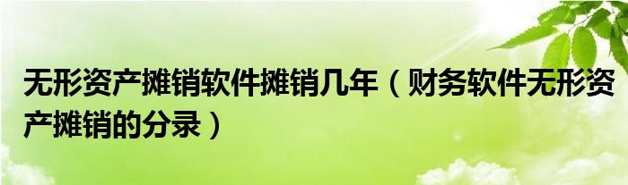 無形資產(chǎn)攤銷軟件攤銷幾年（財務(wù)軟件無形資產(chǎn)攤銷的分錄）