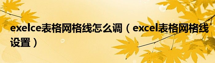 exelce表格網(wǎng)格線怎么調(diào)（excel表格網(wǎng)格線設(shè)置）