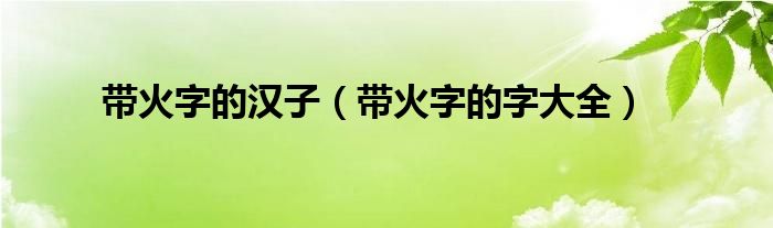 帶火字的漢子（帶火字的字大全）