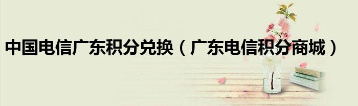 中國電信廣東積分兌換（廣東電信積分商城）