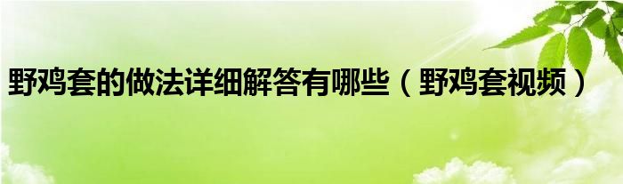 野雞套的做法詳細(xì)解答有哪些（野雞套視頻）